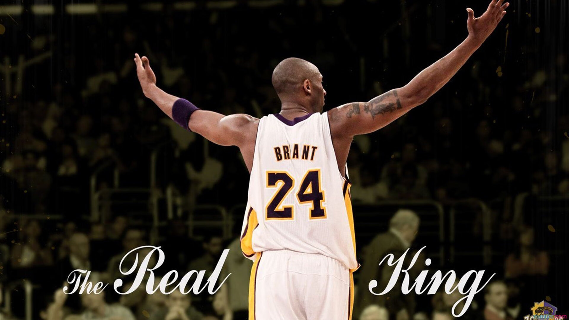 “帕布罗·马特拉:阿根廷美洲狮队的铁血战士,未来更加耀眼”